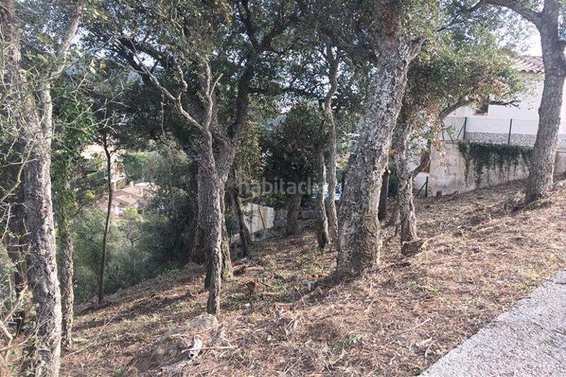 Foto 1f4012a5-de7f-45f0-9079-f2ead55893e5. Terreno residencial en del llorer 6 oferta parcela en Calonge