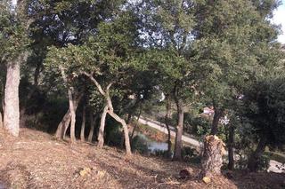 Terreno residencial en Del llorer 6. Oferta parcela