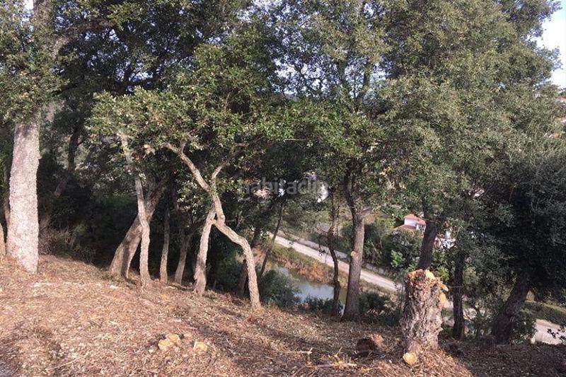 Foto 2613261f-69fd-44a8-ba39-d2534eb49fe2. Terreno residencial en del llorer 6 oferta parcela en Calonge