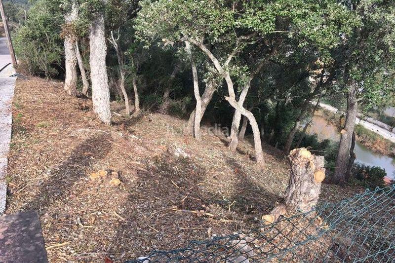 Foto 2cad5e8f-1e61-408b-a16c-221c58acdeea. Terreno residencial en del llorer 6 oferta parcela en Calonge