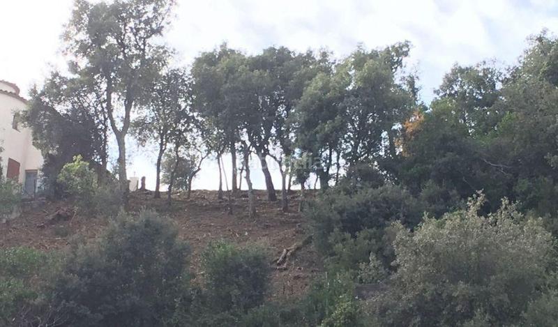 Foto 881d3ed1-7c7c-41b3-81de-cf05b13dd0b6. Terreno residencial en del llorer 6 oferta parcela en Calonge