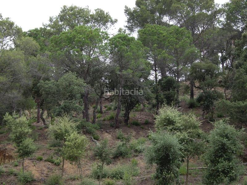 Foto e76f1473-54d6-4185-a67f-b6aa4902822b. Residential plot in alzina 62 in Mas Pere-Río de Oro Calonge