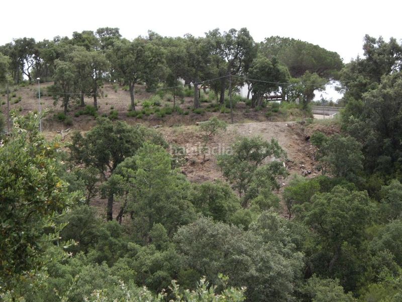 Foto a87785ab-f99a-4621-9e64-0bddf5936233. Terreny residencial a avet 7 a Mas Pere-Río de Oro Calonge