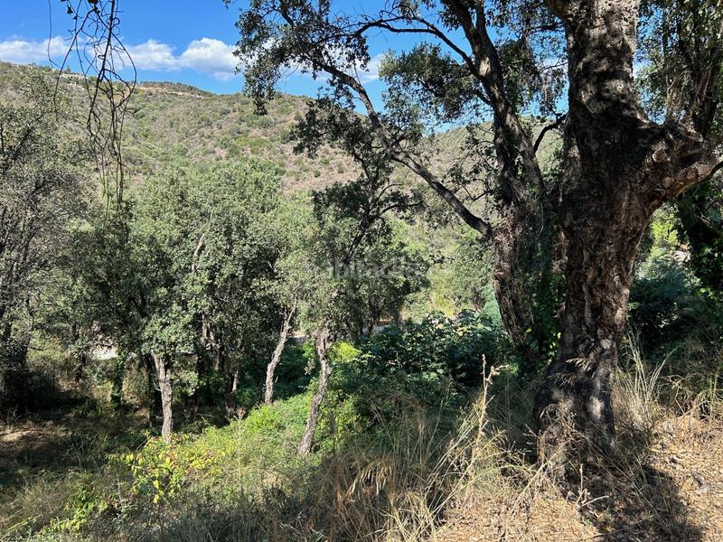 Foto 47d08724-39f9-4d8c-b99b-21f49920fd5c. Terreny residencial a Urbanitzacions Platja d´Aro