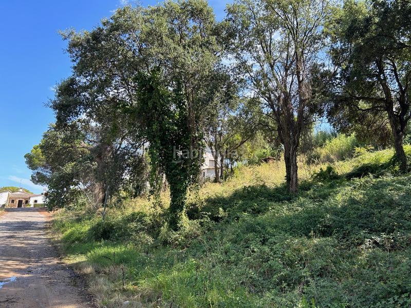 Foto 64d76381-98c3-4344-a79b-9631125fd974. Terreno residenziale in Urbanitzacions Platja d´Aro