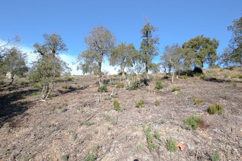 Foto 68c7e800-b6d8-4ff4-bdc2-5b6b37564063. Terreno residenziale in avet 17 in Mas Pere-Río de Oro Calonge
