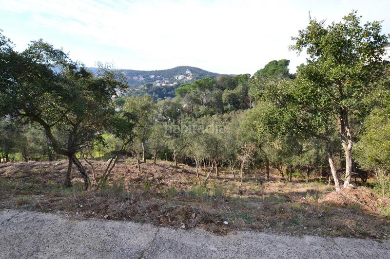 Foto 1cd18b9b-0f3f-4213-824d-9823bcfe22a8. Terreno residenziale in eucaliptus 12 in Mas Pere-Río de Oro Calonge