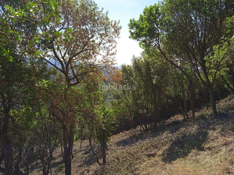 Foto ed2b61c1-118d-44df-8876-732099fdf790. Terreno residenziale in xiprer 36 in Mas Pere-Río de Oro Calonge