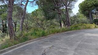 Terreny residencial a Eucaliptus 14
