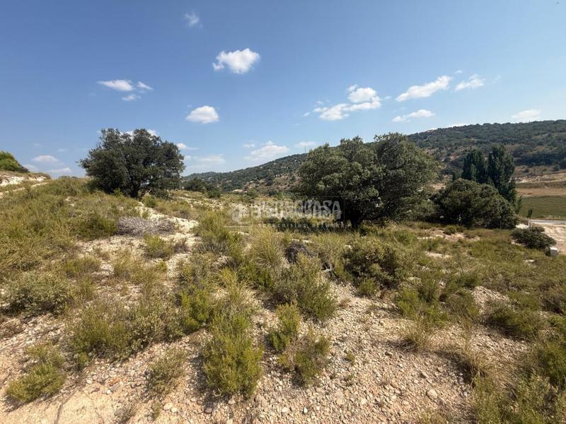 Foto 6d38b065-aed9-45d1-9250-88a190bc7c23. Terreno residenziale in Hontoba