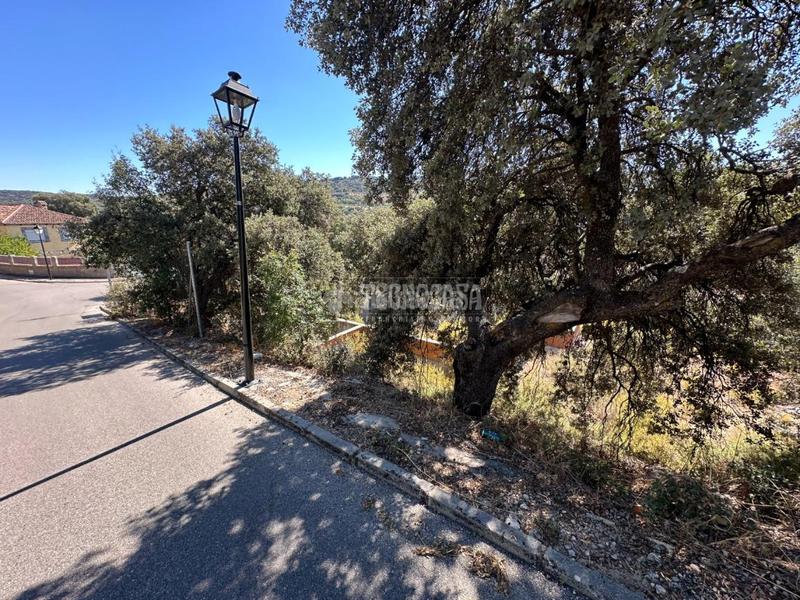 Foto c245b1dc-1737-4199-b972-7a8af658e10e. Wohngrundstück in Fuentenovilla