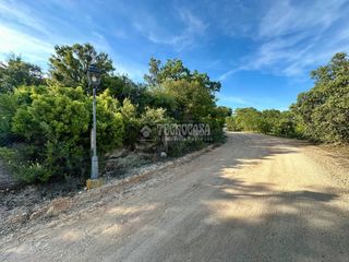 Wohngrundstück in Loranca de Tajuña. Terrenos en venta en loranca de tajuña