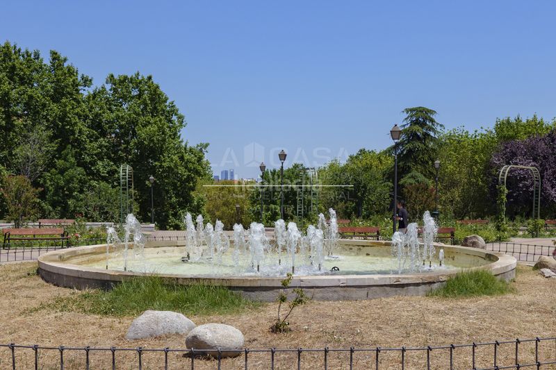 Foto a3c9fa77-c70c-49ef-9b68-656d8a7d0079. Pis a Lucero Madrid
