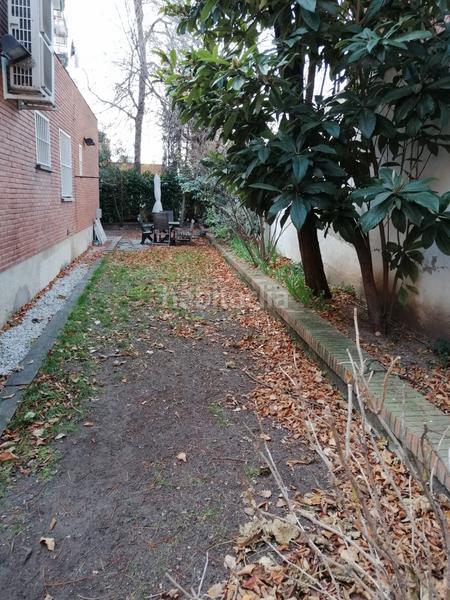 Foto d8cad924-4ef7-47d4-86fa-6452d37c6580. Piso  jardín en hispanoamérica, chamartín en Hispanoamérica-Bernabéu Madrid