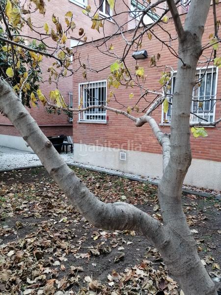 Foto ef64f9b1-6b5f-4654-bbf6-d7d8d396cf95. Piso  jardín en hispanoamérica, chamartín en Hispanoamérica-Bernabéu Madrid