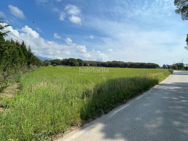 Foto be53ea79-3214-4f2c-8836-3b9481a81308. Finca rústica a Cardedeu