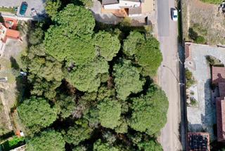 Terrain résidentiel  Avenida maresme. Pon los cinco sentidos.