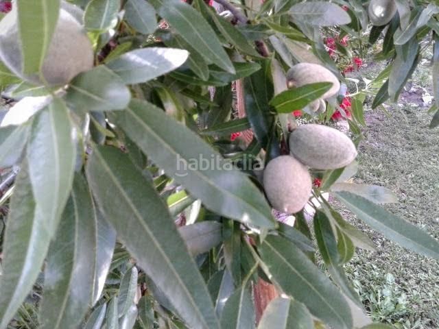 Foto 5b2c2753-2d08-4fbb-ad09-2e2c616133af. Casa a Vilajuïga