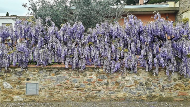 Foto fe63137f-fca3-4610-85d5-47d2af93572d. Casa a Vilajuïga