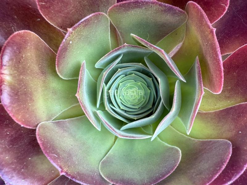 Foto 81cded0a-ddad-4b17-980c-eb5427a635d2. Casa amb calefacció a La Font d´en Fargues Barcelona