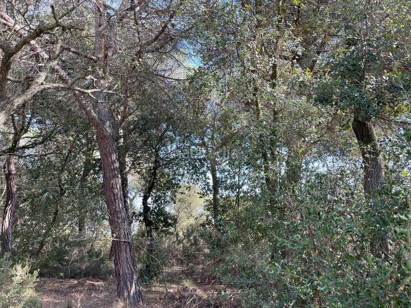 Foto 8d0e15e9-3498-452b-b5bb-1f778bf83fae. Terreny residencial a avenida maresme 44 a Argentona est Argentona