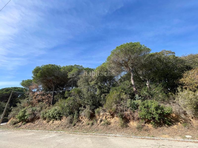 Foto 972a51c5-e187-49ae-b8f5-d02ccf22d1cc. Terreny residencial a avenida maresme 44 a Argentona est Argentona