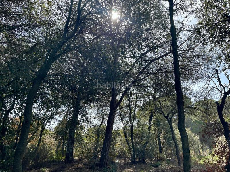 Foto d569c8d0-8fed-4d30-9583-aaddf6de7b21. Terreny residencial a avenida maresme 44 a Argentona est Argentona