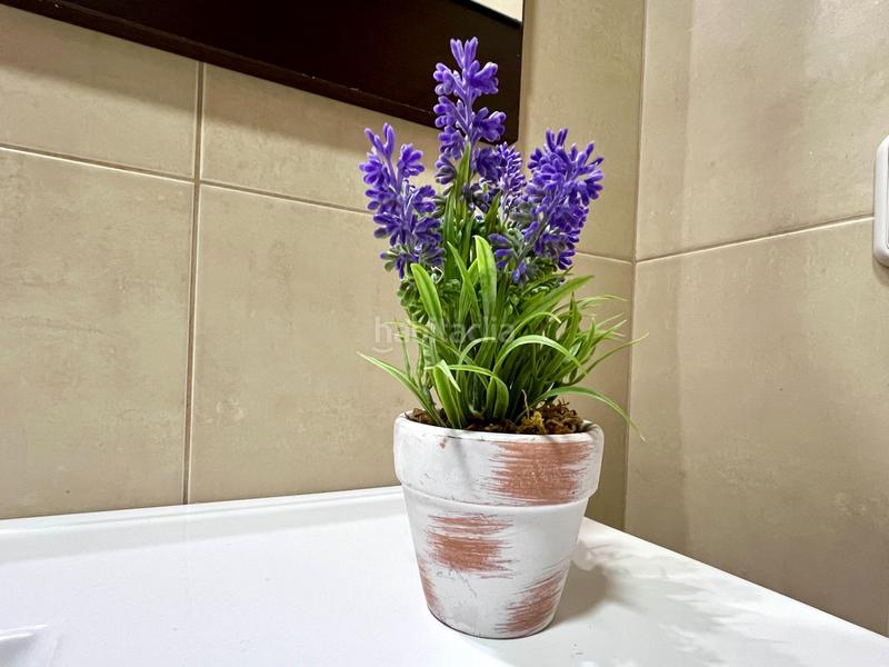 Foto 1a9a5961-0e2c-47c8-9fd0-bea81394ef56. Piso el espacio listo para escribir tu próximo capítulo. en Cardedeu