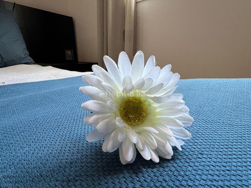 Foto 3b088d74-36d4-4024-b9c9-5c6e38dde021. Piso el espacio listo para escribir tu próximo capítulo. en Cardedeu