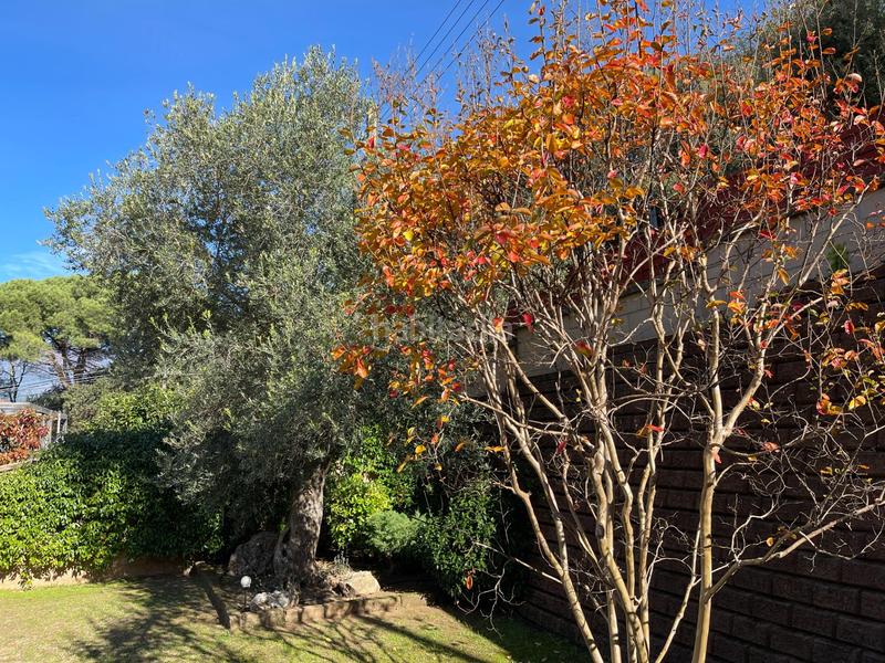 Foto 446297b7-31e8-4ebd-b97b-fbe5cd69b2e8. Casa con riscaldamento parcheggio in Sant Pere de Vilamajor