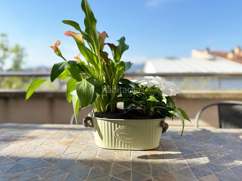 Foto c33cbffb-f0f0-4ed9-b7e4-de7ed2dc59b7. Pis amb calefacció aparcament a Cardedeu