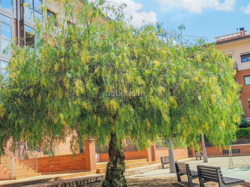 Foto a400b982-ded4-4fc3-857b-d4309d503c44. Pis amb calefacció aparcament a Cardedeu