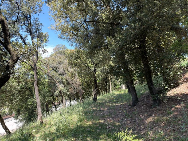 Foto 1cfcb925-1fee-4b2c-a49e-deb8bee94e52. Residential plot in carrer de sant bernat 7 in Sant Pere de Vilamajor