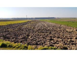 Terreny residencial a Sudeste Industrial. Finca rustica en venta zona valdeserrano