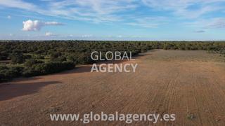 Finca rústica en Calle mayor 2. Terreno 92 hectáreas con cortijo