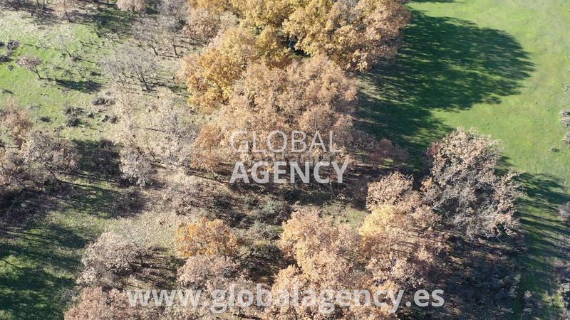 Foto 505e2d40-907e-4a71-aea5-29c10a745fd7. Propriété dans El Espinar Pueblo Espinar (El)