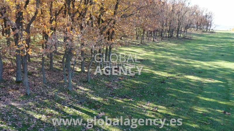 Foto fd81a6c2-d955-4f97-81c0-ad63f5b42fab. Propriété dans El Espinar Pueblo Espinar (El)