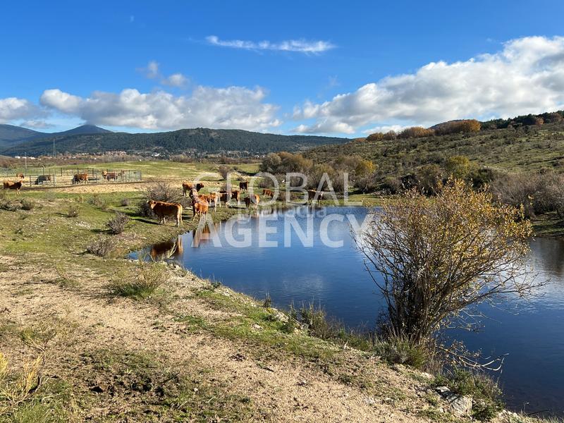 Foto d0f4019b-c10d-4bbd-81dc-230643242c26. Finca rústica a El Espinar Pueblo Espinar (El)