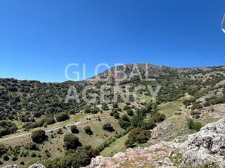 Rural plot in Belén - San Roque