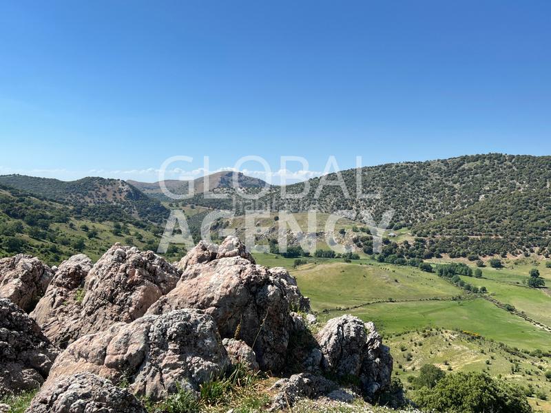 Foto 09ede4b6-ebda-46cb-8076-8830b5880b97. Finca rústica a Belén - San Roque Jaén