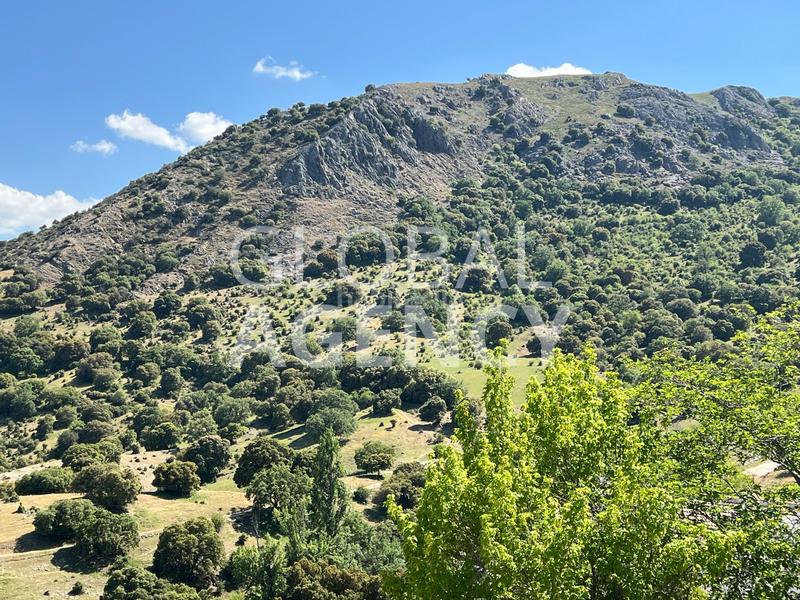 Foto 0da462f0-afaa-49f7-9a61-cf82cfbdebf1. Finca rústica a Belén - San Roque Jaén