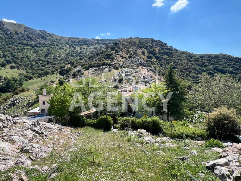 Foto 13d3bfc2-e46e-4d7c-b696-9bd5daa91498. Finca rústica a Belén - San Roque Jaén