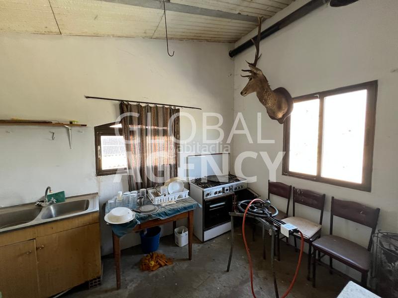 Foto 2c1b3af8-d91b-4b88-b654-f1cc37fc8616. Finca rústica a Belén - San Roque Jaén