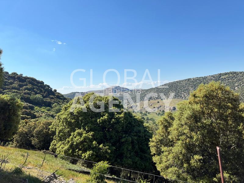 Foto 2f58d7b8-f60b-485d-b255-68dcce6b2e8e. Finca rústica a Belén - San Roque Jaén