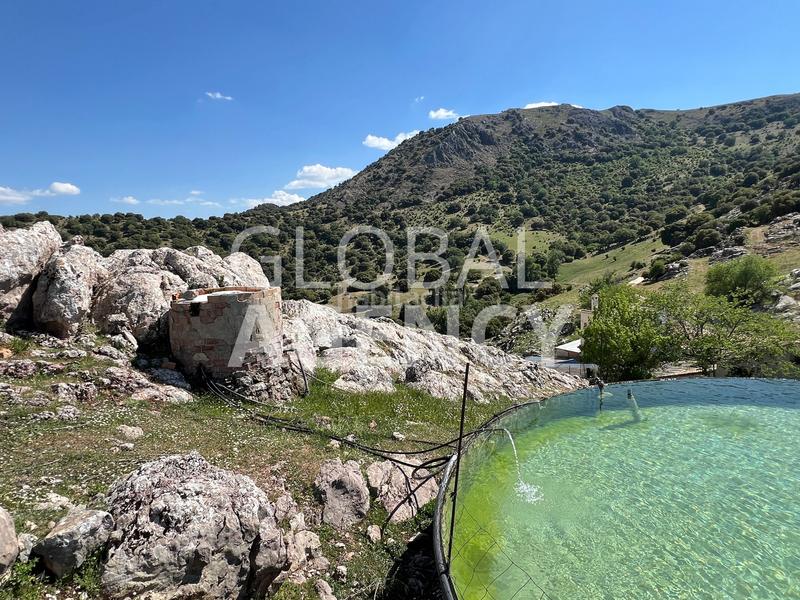 Foto 3771286c-1454-4fe4-a568-d0b739123d4c. Finca rústica a Belén - San Roque Jaén