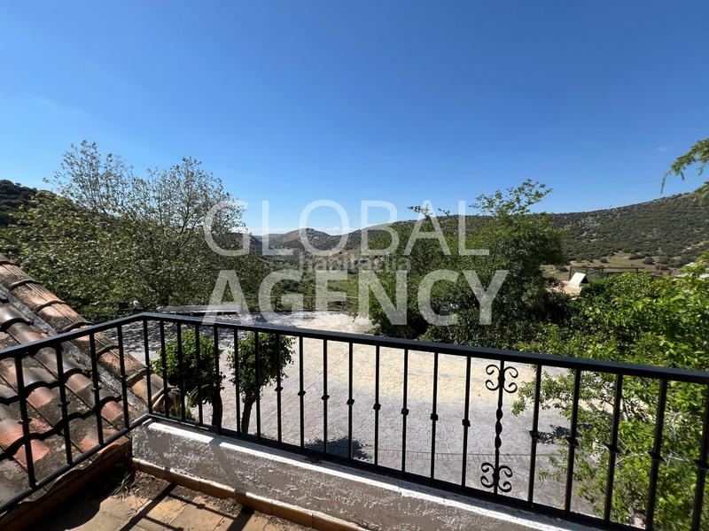 Foto 52264f36-b159-43a9-9e4e-78edbd918567. Finca rústica a Belén - San Roque Jaén