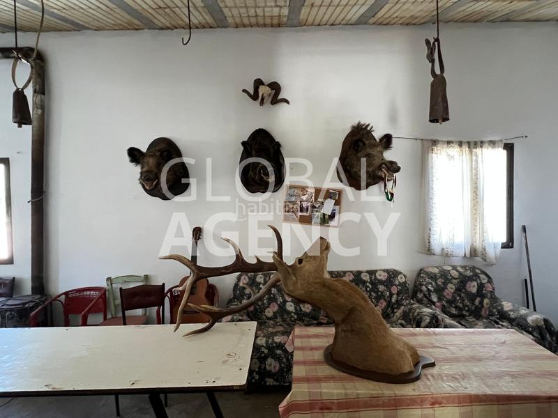 Foto 66d42916-5dab-47b1-9d3d-bb90458704b2. Finca rústica a Belén - San Roque Jaén