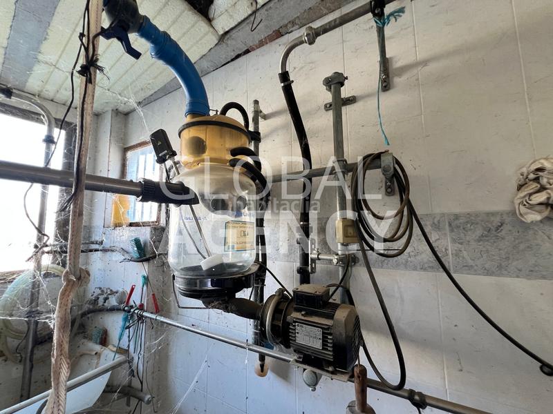 Foto 6a055431-f28a-438b-9326-91c1ddc8ca15. Finca rústica a Belén - San Roque Jaén