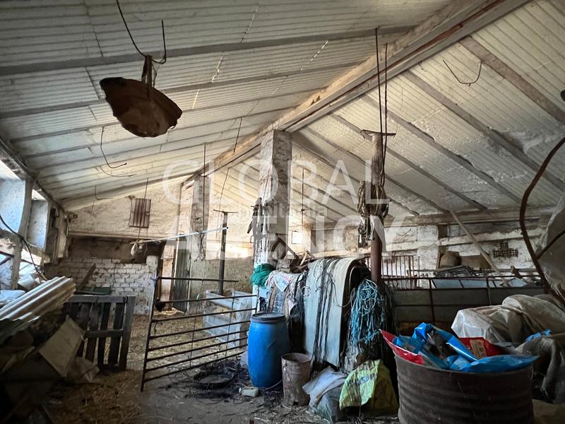 Foto 84749d63-edce-4dd4-b969-d9007926adcf. Finca rústica a Belén - San Roque Jaén