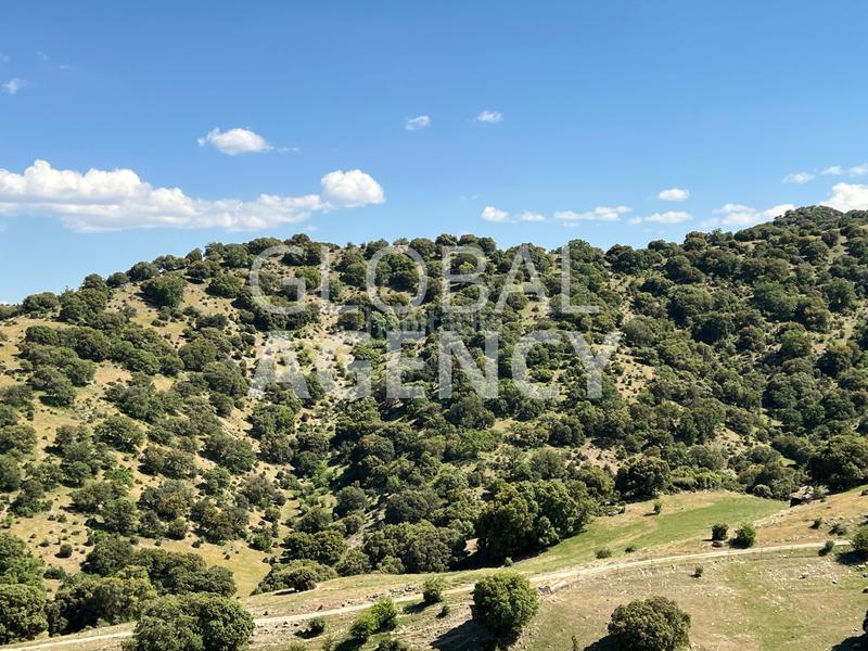 Foto 89491e26-c454-46cb-afa3-c8493871234d. Finca rústica a Belén - San Roque Jaén